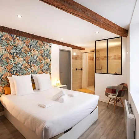 Le Refuge De Saint-gimer Apartment Carcassonne